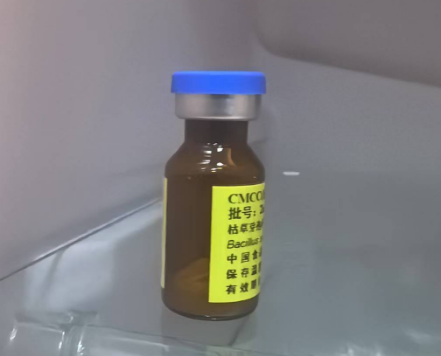 白色念珠菌CMCC（F）98001