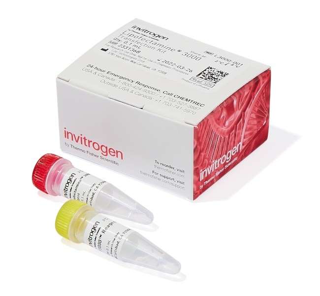 Lipofectamine™ 3000 细胞转染试剂